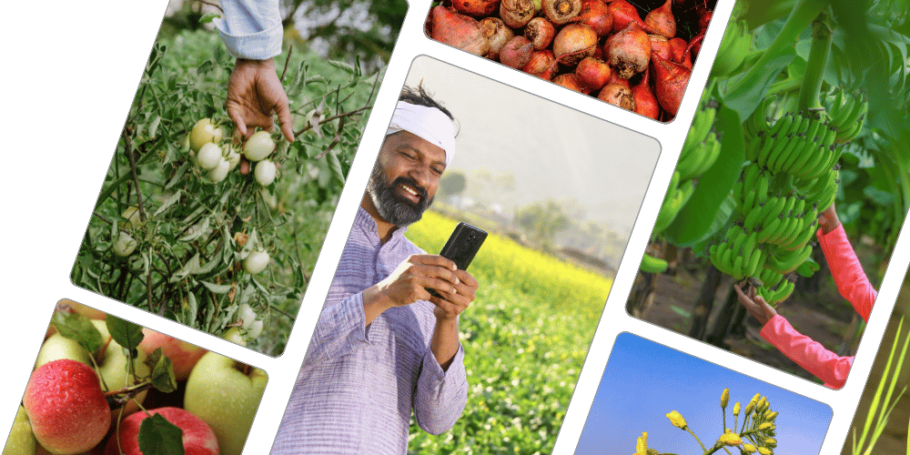 KisanSat Services Hero Image